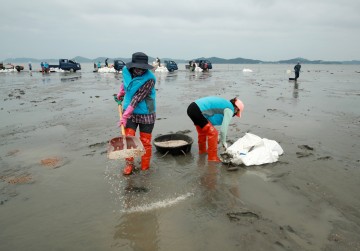 수산업의 발전을 위해 올해 수산종자 매입방류