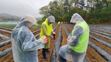 소이면·답십리2동 주민자치회, 도농 상생 ‘옥수수 심기’ 행사 개최