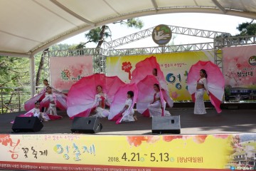 2019. 청남대 봄꽃축제‘영춘제’개최 