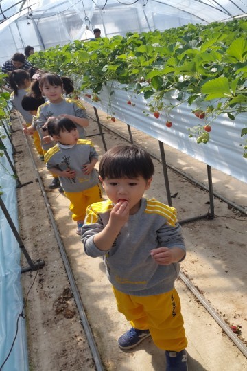 상주동부초등학교 병설유치원 달콤한 딸기나라에 온 동부 어린이