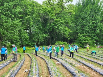 보성군, 경북 의성 산불 피해 복구에 발 벗고 나서 