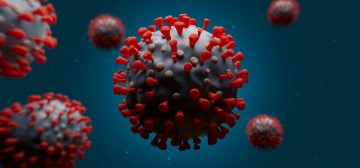 씨엘바이오, 코로나19 잡는 '피톤치드 조성물' 특허 긴급 출원