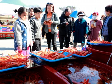울진군, 2024 '울진대게와 붉은대게축제' 오는 22일 ~ 25일 후포항 일원에서 개최
