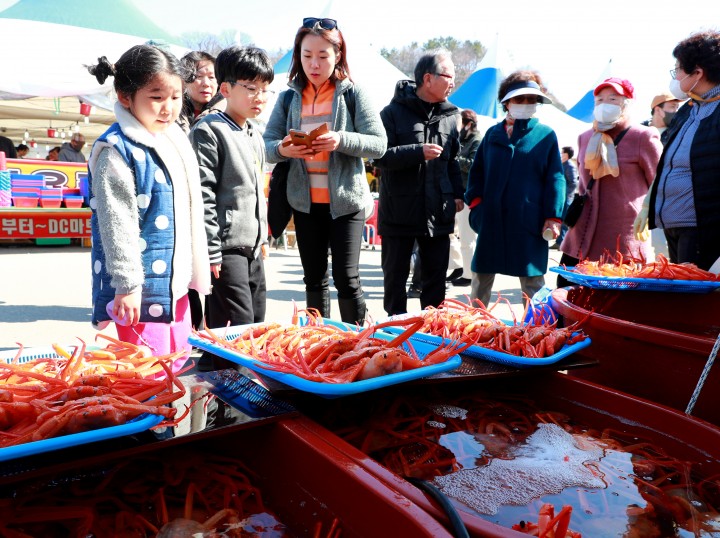 울진군, 2024 '울진대게와 붉은대게축제' 오는 22일 ~ 25일 후포항 일원에서 개최