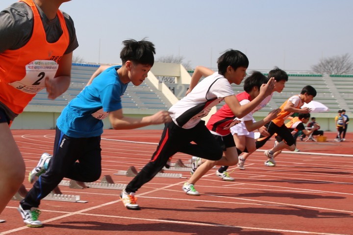 세종시교육청, 제3회 세종소년체육대회 개최
