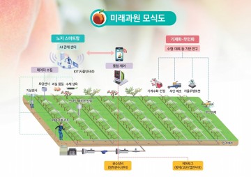 미래형 복숭아 ‘스마트 노지과원’ 조성