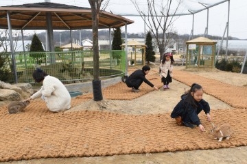 자연학습장 된 영주시농업기술센터…토끼공원 개방