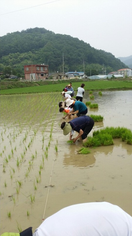 친환경 농산물 판로개척으로 농가소득증대