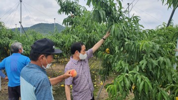 김주수 의성군수, 우박 피해현장 방문... 피해 주민 위로