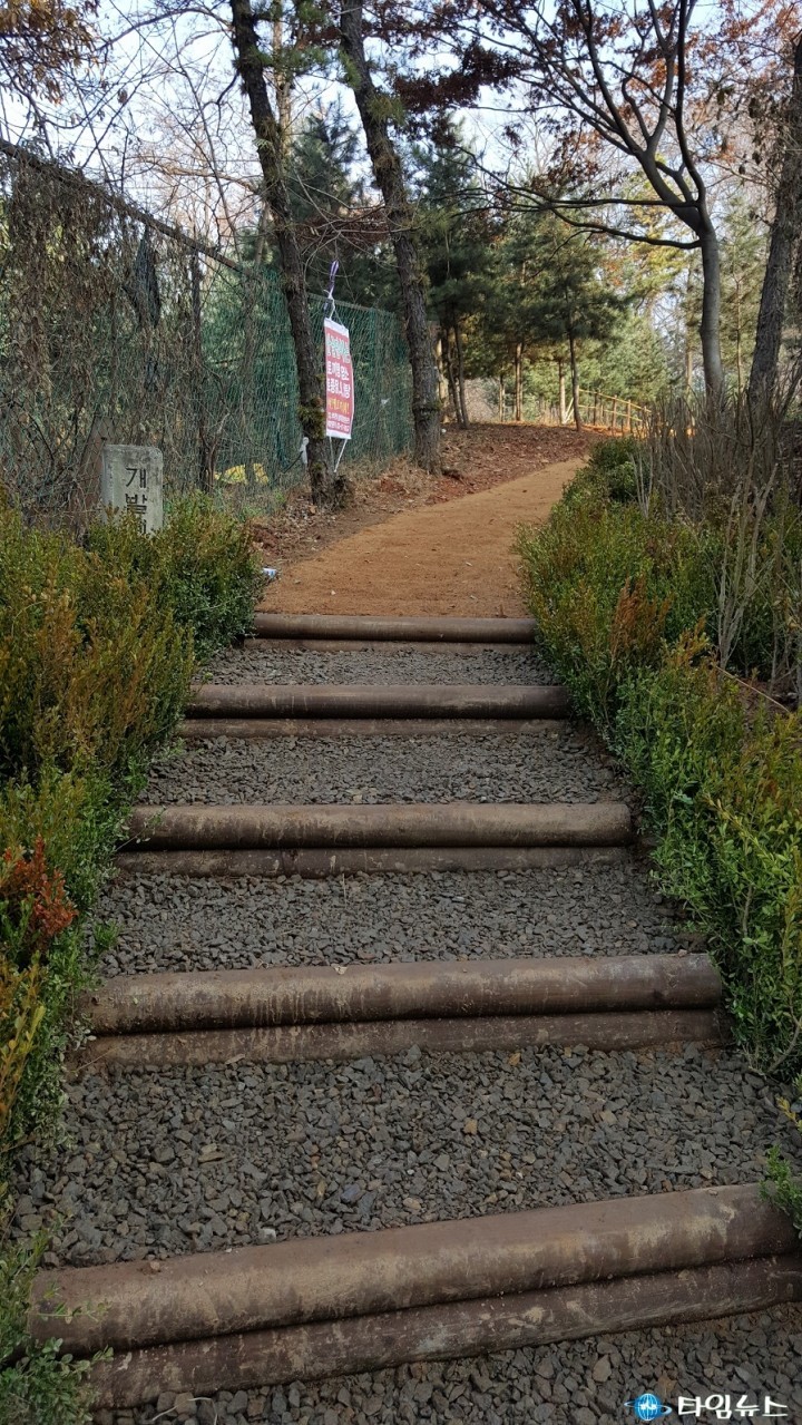 봉배산 산책로에 오르면 몸도 마음도 건강해져요
