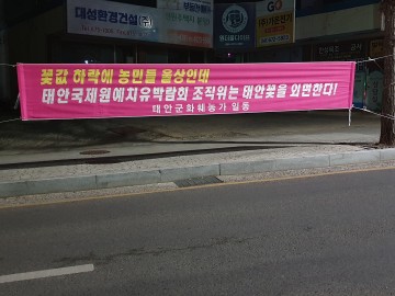 [5보]김태흠‧가세로 “국제원예치유박람회…선거 두 달 전 개최” 포퍼먼스 논란