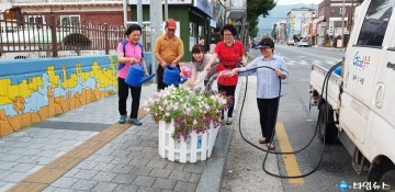 충주 꿈자람길, 폭염 속 샤피니아 만개