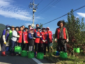 고제면 주민자치위, 꽃사과 수확행사