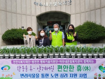 반려식물과 함께하는 노인심리 지원 사업 실시
