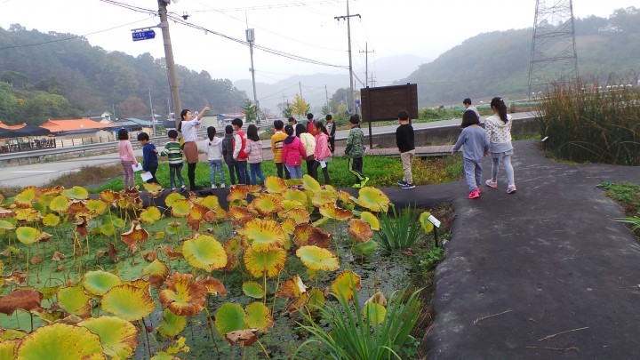 대전 서구, 도랑 살리기 공모사업 5년 연속 선정