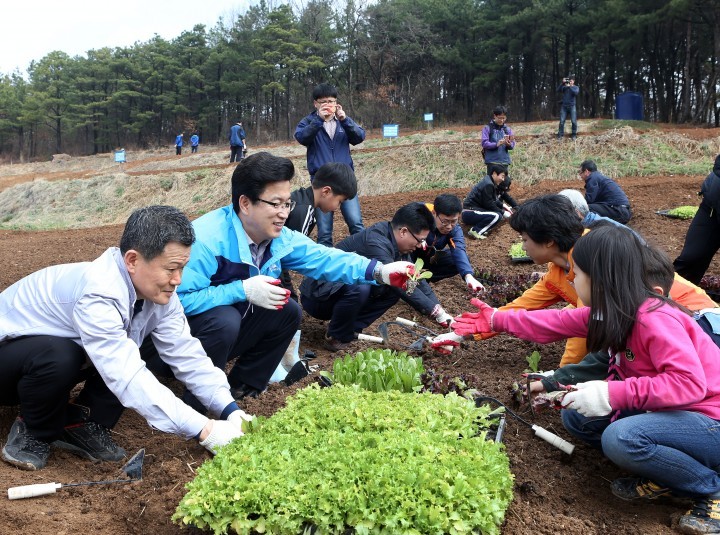 대전 유성구, 친환경 텃밭농장 운영