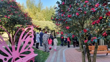 신안군, 섬 겨울꽃 축제’ 신안의 매력 다시 한번 확인