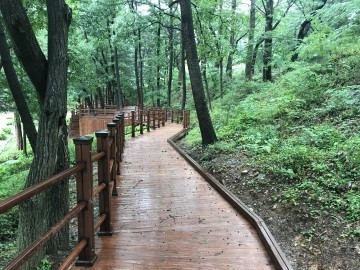대전 대덕구, ‘대청호반 숲 무장애 나눔길’ 조성 완료