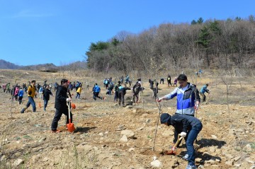 ‘힐링도시 영주’ 봄철 나무심기로 미세먼지 흡수, 대기질 개선