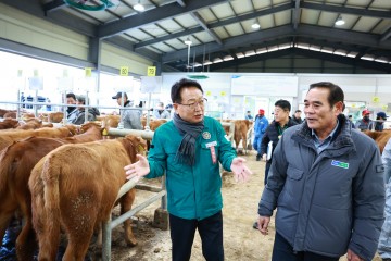 울진군, 갑진년 전자경매 가축시장 첫 개장