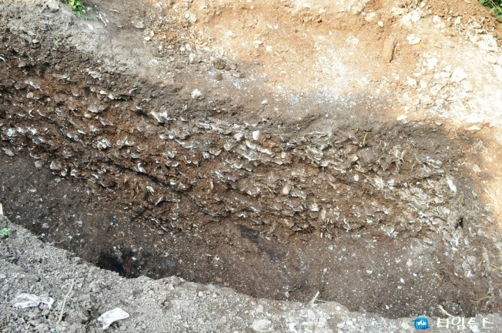김해 유하패총(도 기념물 제45호) 유적성격 밝혀져
