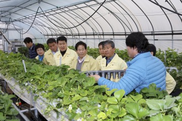 농촌융복합 6차 산업 선도농가 현장방문 실시!