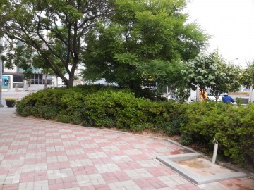 군산시 조촌동, 청사 옥외 공간에 주민쉼터 조성 