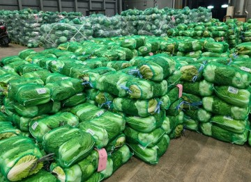 대전 노은도매시장, 김장철 맞아 한시 김장시장 운영