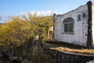 “봄바람 타고 떠나요~”… 경주 봄꽃 명소 추천 20선