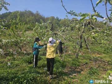 음성군청 기업지원과, 봄철 농촌 일손돕기 나서
