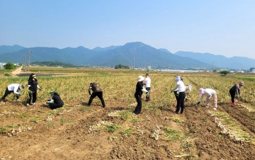 담양군, 일손 부족한 농가에 현장 지원  
