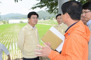 이춘희 세종시장, 가뭄 총력 대응 지시