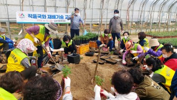 제23회 서산국화축제 준비하는 시민들