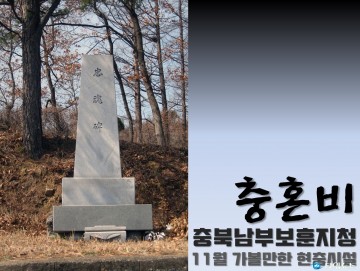 충북남부보훈지청, 11월의 가볼만한 현충시설 옥천군 안남면의 ‘충혼비’