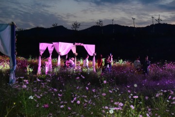 가을, Romance ,‘2018 고령 콫 페스티벌’