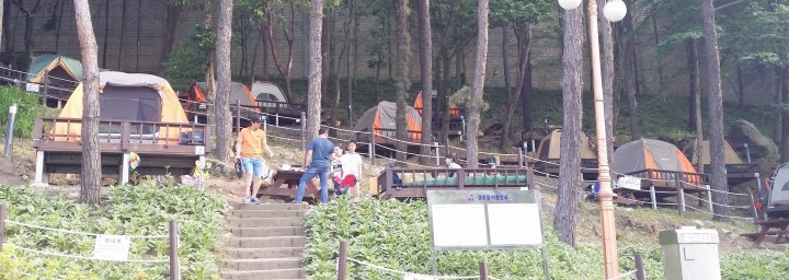 대전 중구, 뿌리공원 캠핑장 상시 운영