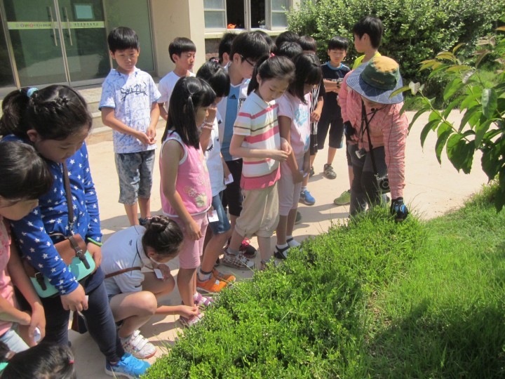 대전 중구, 학교 숲 해설 체험프로그램 운영