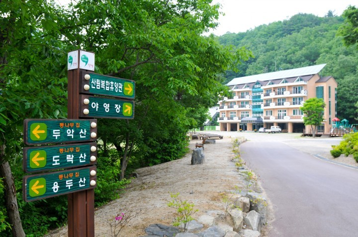  사람과 자연이 하나 되는 곳, 단양군 소선암자연휴양림