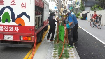 대전시, 폭염에 지친 가로수에 물주기‘한창’