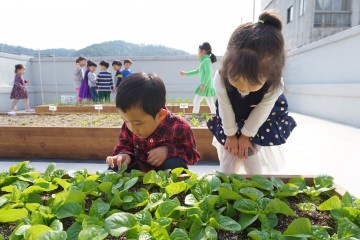 광주시 동구, 도시 농부 교육·체험 공간 조성