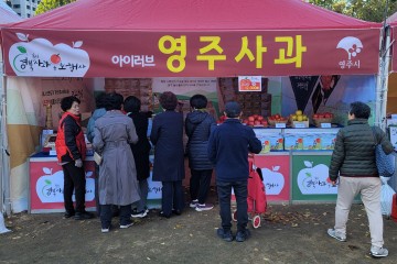 영주시, ‘2023 경북사과 홍보행사’ 참가 ‘영주사과’ 알리기 나서 