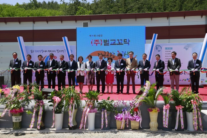 수산업 규모화‧기업화‧산업화로 ‘벌교꼬막’ 수출길 열려