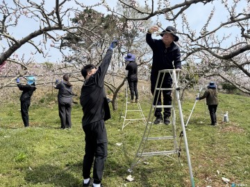 음성군 민원과, 삼성면 농가 찾아 농촌일손돕기 실시
