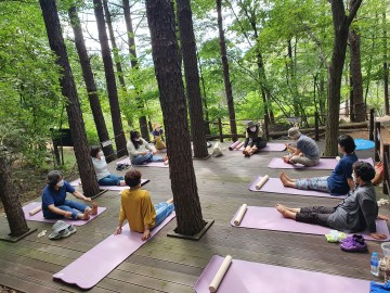 3대문화권 활성화사업 전액도비 2억 확보