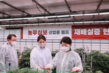 헴프 규제자유특구 통해 신시장 개척해야