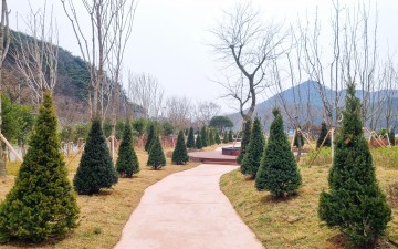 장성군, 평림댐에 ‘기후변화 도시숲’ 조성