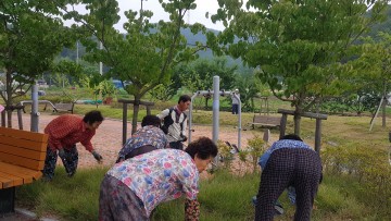 우곡면 사촌리 마을 대청소 시행