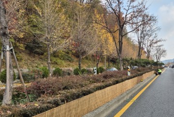 대전시, 가로수·공원·휴양림 월동 대책 돌입…한파·폭설 대비 총력