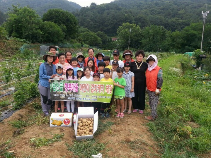 반송2동 담안골행복마을 감자캐기 체험