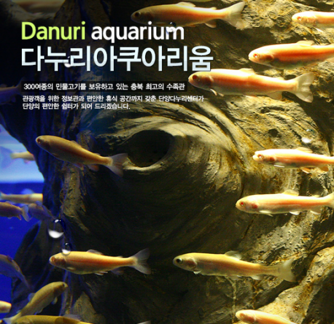 올 설명절 새롭게 단장한 단양 대형민물 아쿠아리움 볼거리